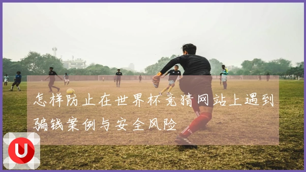 怎样防止在世界杯竞猜网站上遇到骗钱案例与安全风险