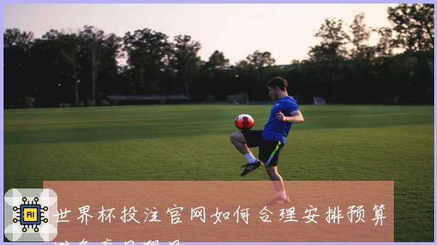 世界杯投注官网如何合理安排预算避免盲目跟风